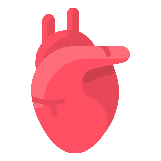 EKG Herz Untersuchung Haverkamp Neuburg Schrobenhausen