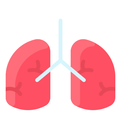 Lunge Lungenfunktion Haverkamp Hausarzt